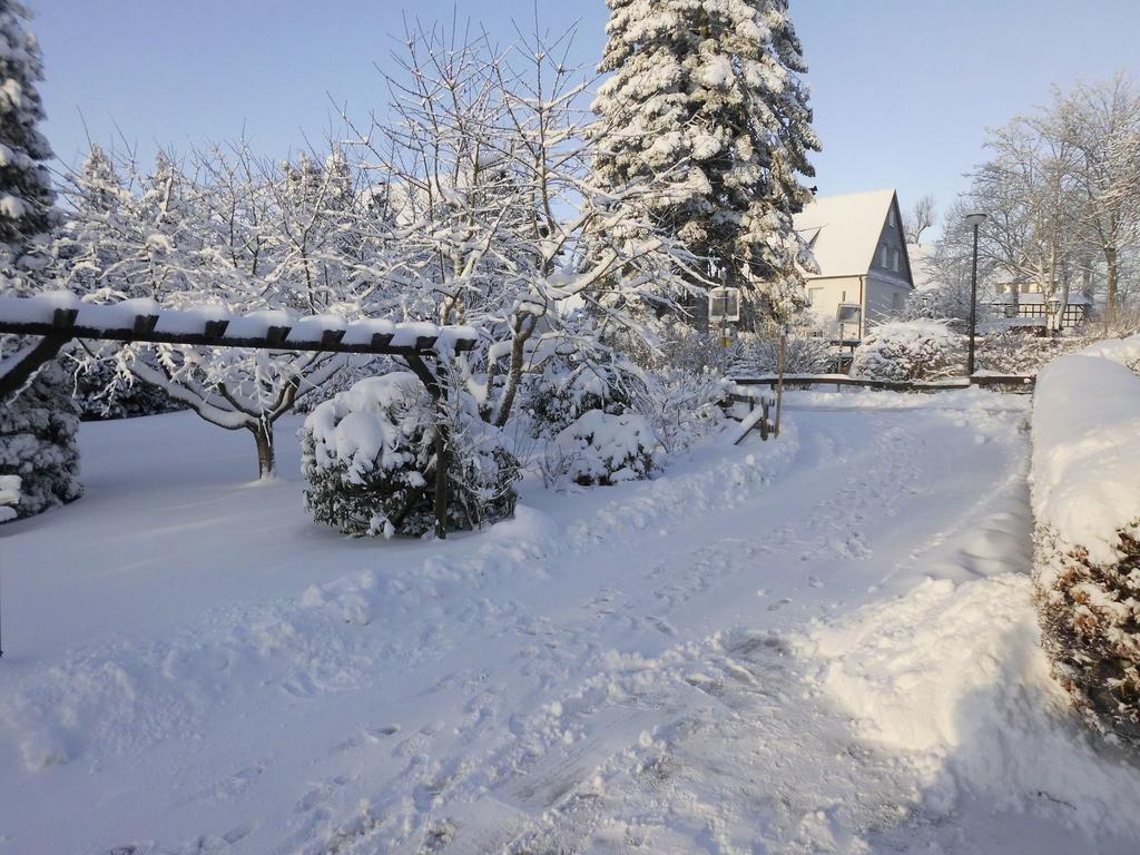 Apartment In Langewiese Sauerland With Garden Winterberg Dış mekan fotoğraf