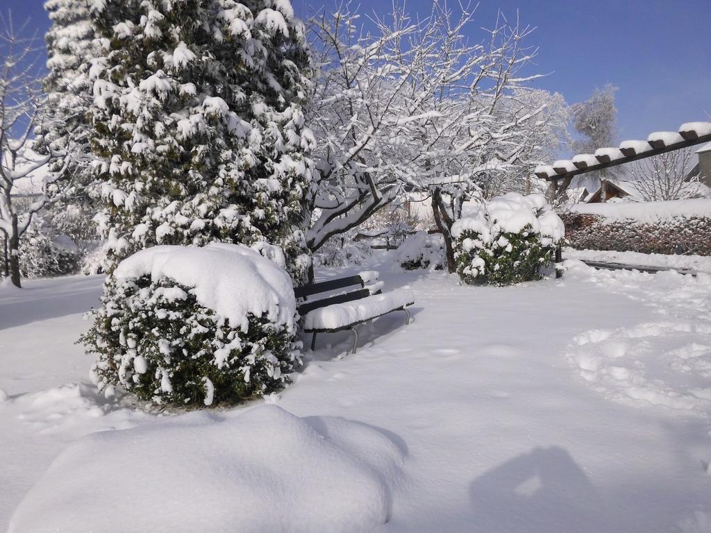 Apartment In Langewiese Sauerland With Garden Winterberg Dış mekan fotoğraf