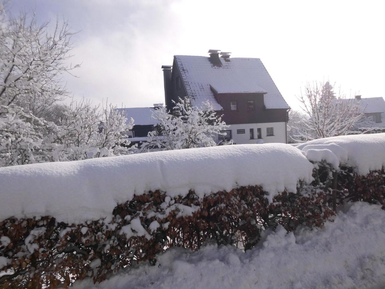 Apartment In Langewiese Sauerland With Garden Winterberg Dış mekan fotoğraf